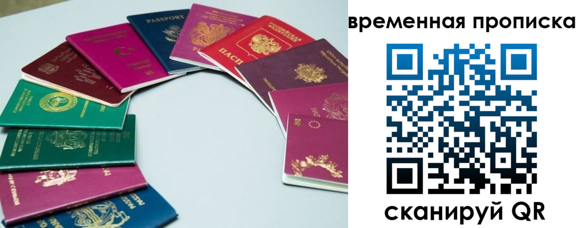 найти адрес прописки в Всеволожске